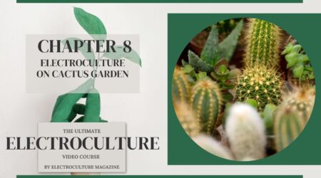 Chapter 8: Electroculture on Cactus Garden